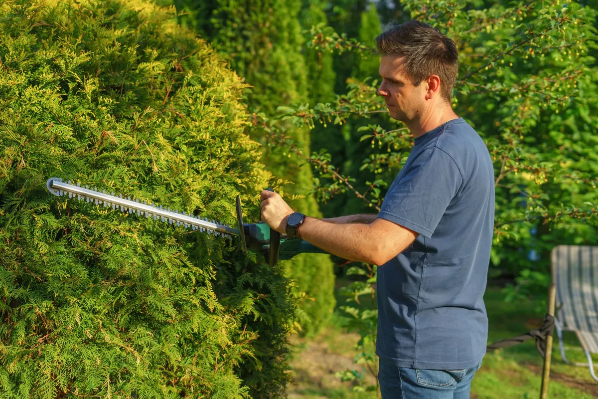 A Month-by-Month Guide to Pruning Shrubs in the UK