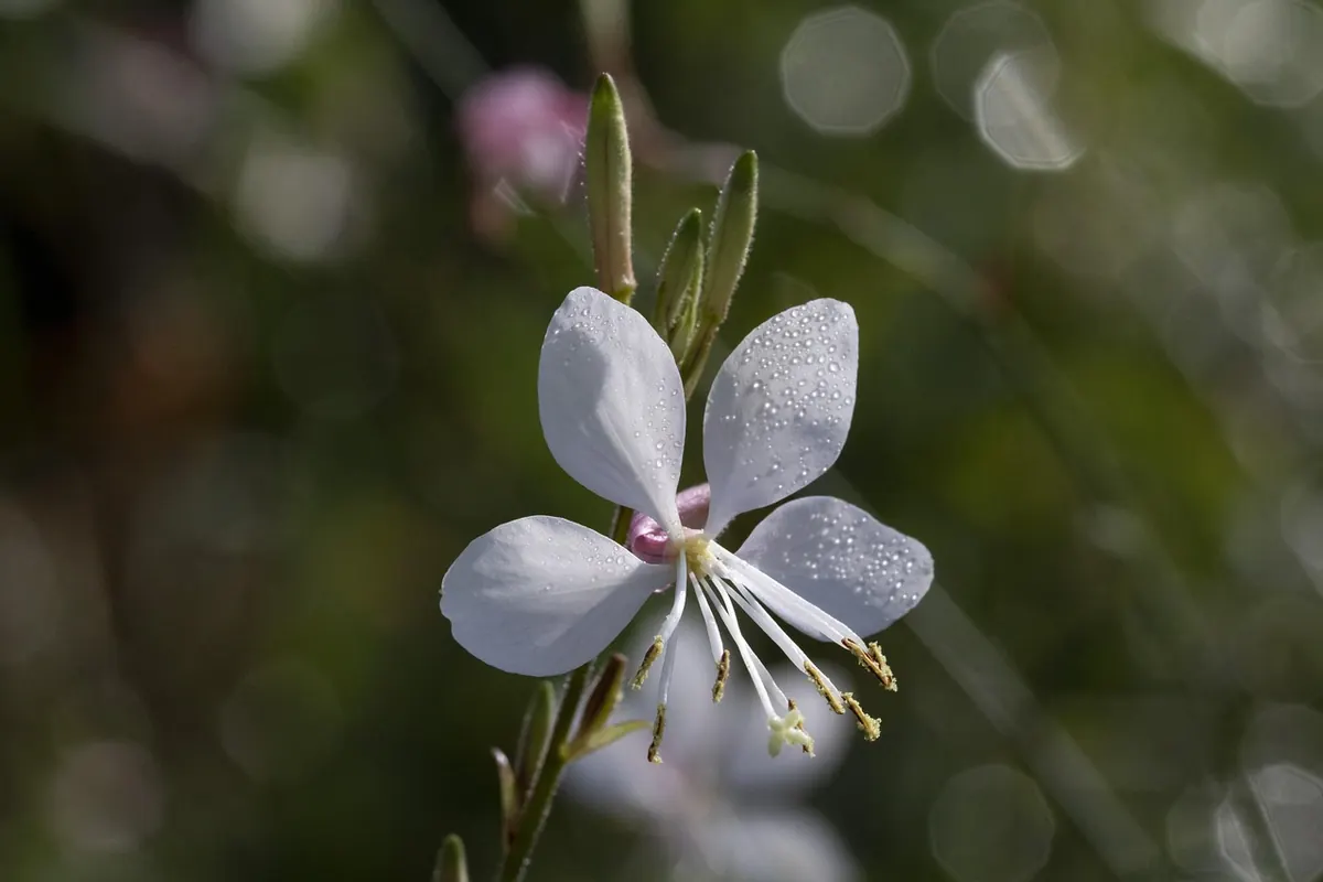 How Much Does Landscaping a Small Garden Cost in the UK?