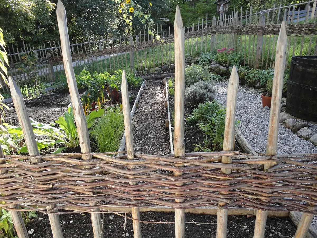 How to Build a Raised Bed for Vegetables on Clay Soil