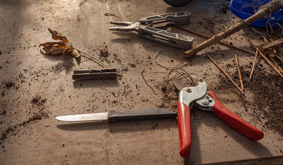 Secateurs vs Loppers: Which Cutting Tool Do You Actually Need?