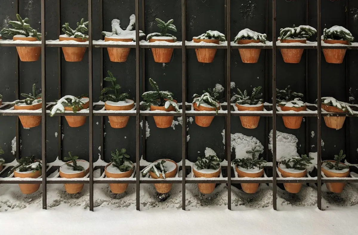 Seasonal Tips